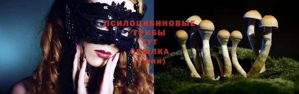 твердый Карпинск