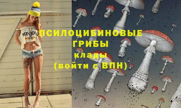 твердый Карпинск
