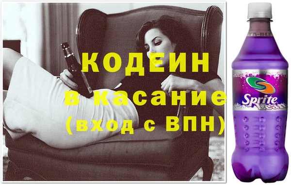твердый Карпинск