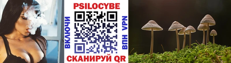 Купить  Краснодар  Псилоцибиновые грибы прущие грибы 